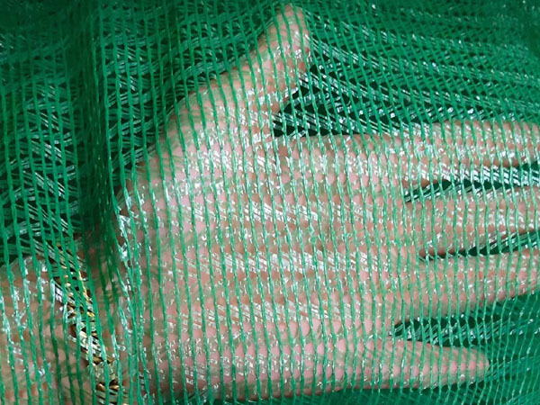 蓋土網(wǎng)長(zhǎng)期不用時(shí)是如何保養(yǎng)的？